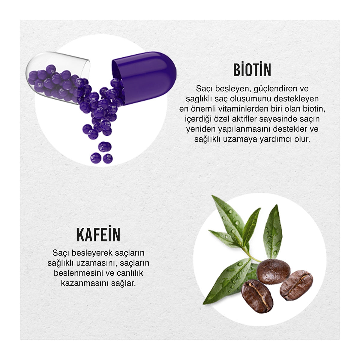 Expert Serisi Biotin ve Kafein Şampuan 350 ml