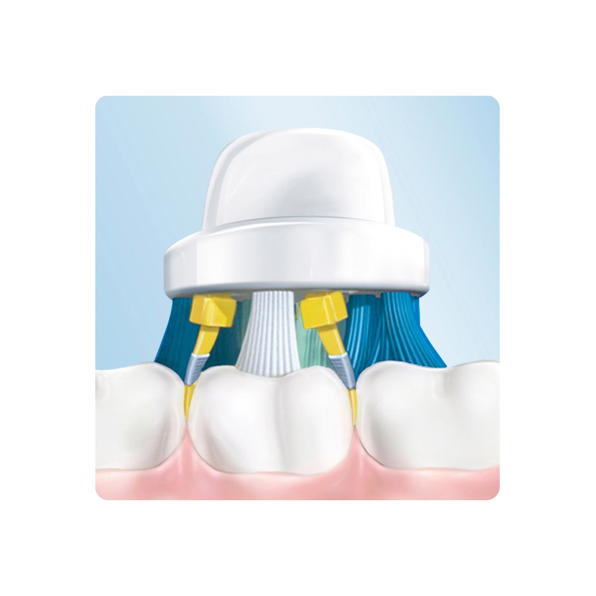 Oral B Yedek Başlık Floss Action 2'li