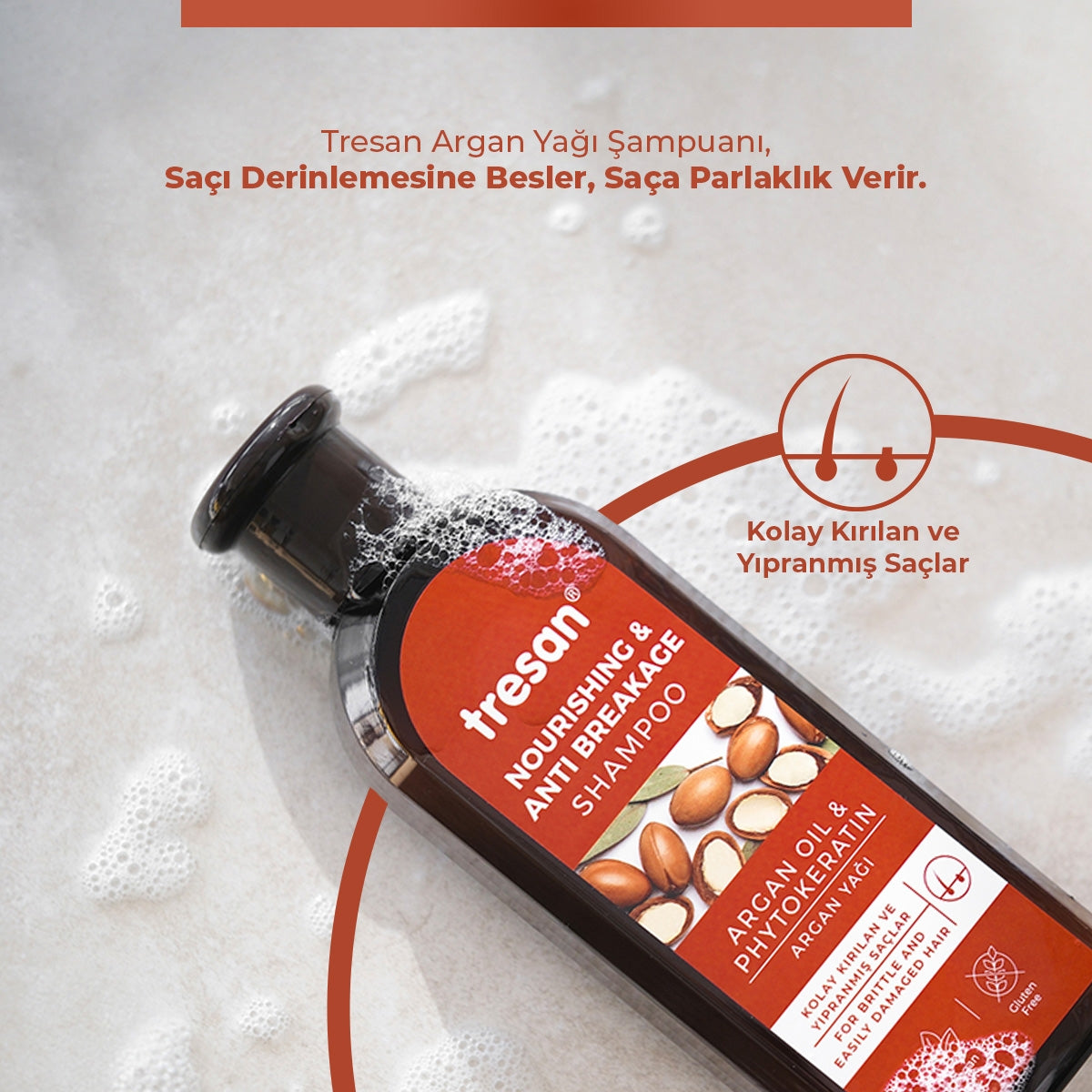 Argan Yağı Besleyici Kırılma Karşıtı Şampuan 300 ml