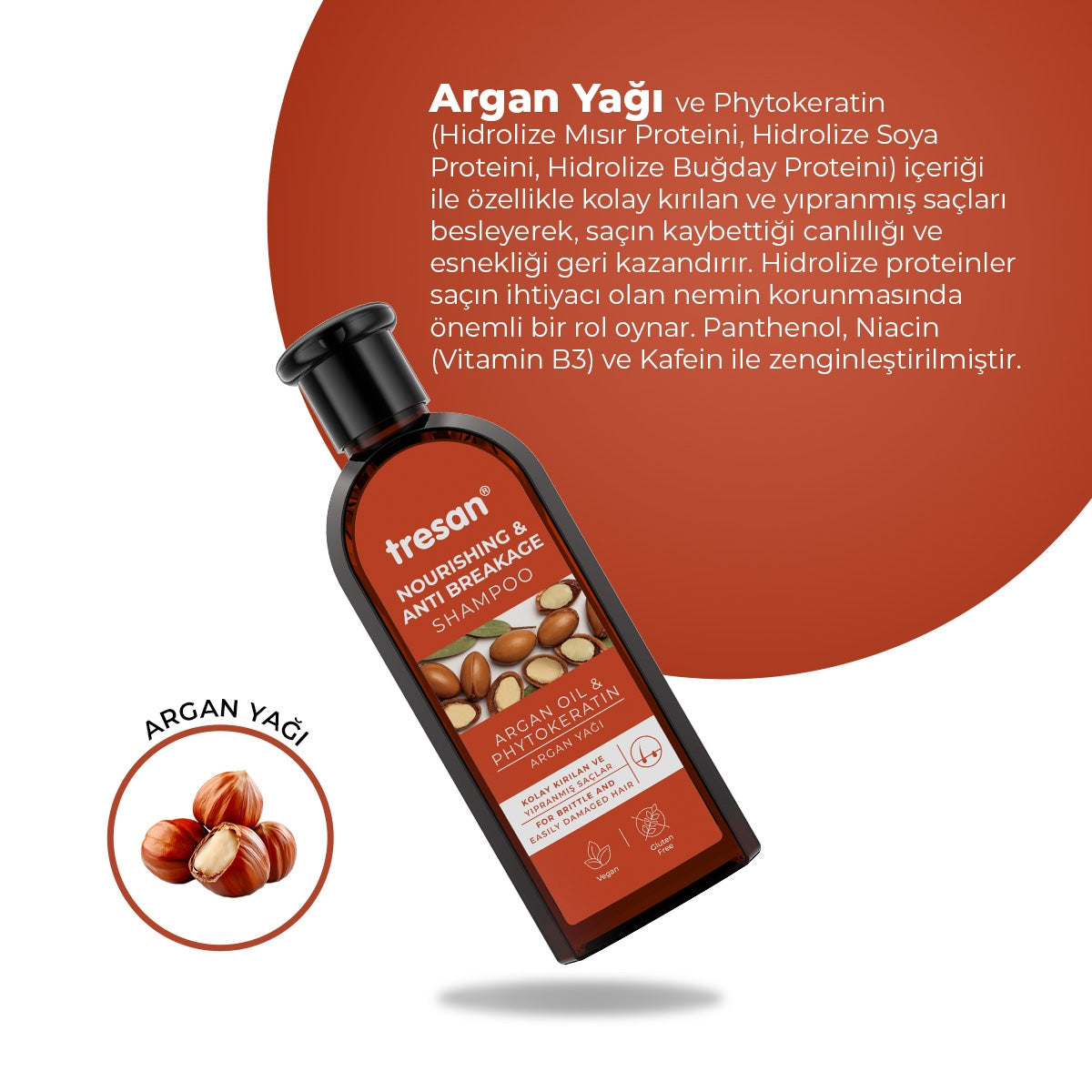 Argan Yağı Besleyici Kırılma Karşıtı Şampuan 300 ml