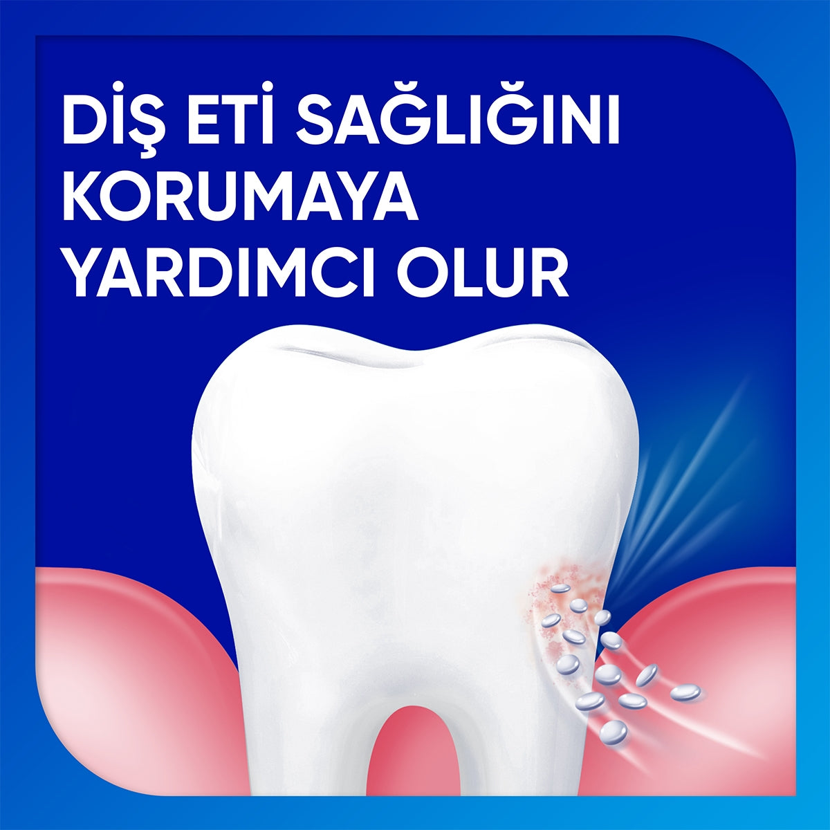 Hassas Diş Eti ve Diş Minesi Diş Macunu 75 ml