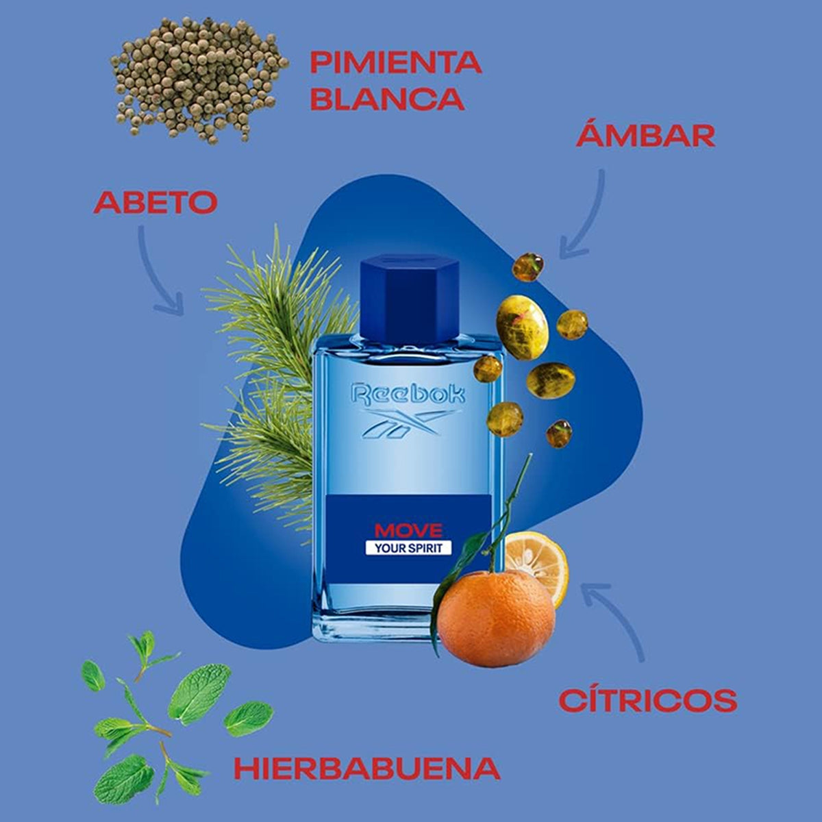 Erkek Edt Move 100 ML