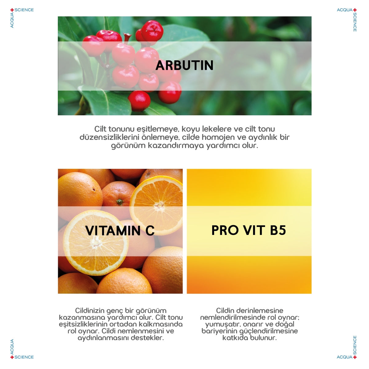 Yüz Bakım Serumu C Vitaminli 30 ml
