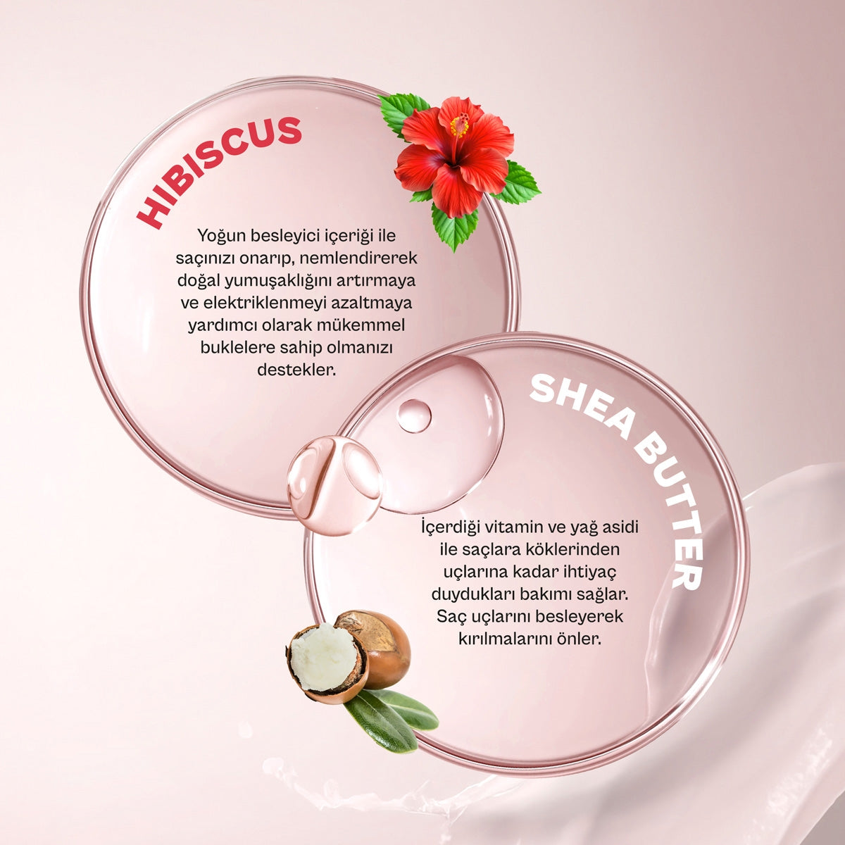 Şampuan Hibiscus & Shea Butter 350 Ml
