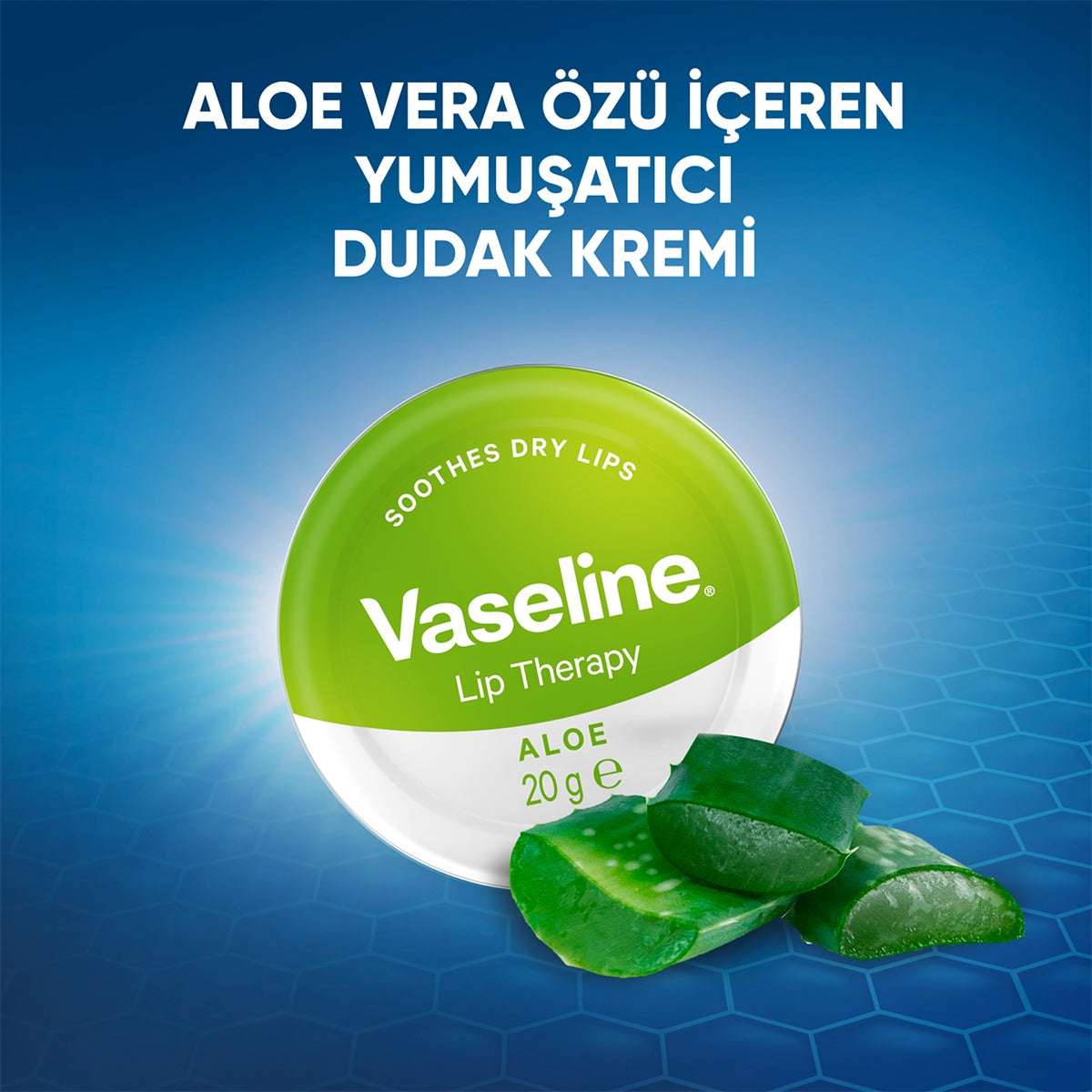 Aloe Vera Lip Therapy Dudak Koruyucu Krem 20gr