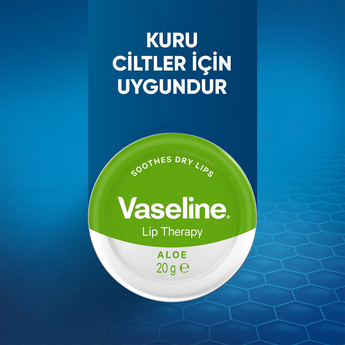 Aloe Vera Lip Therapy Dudak Koruyucu Krem 20gr