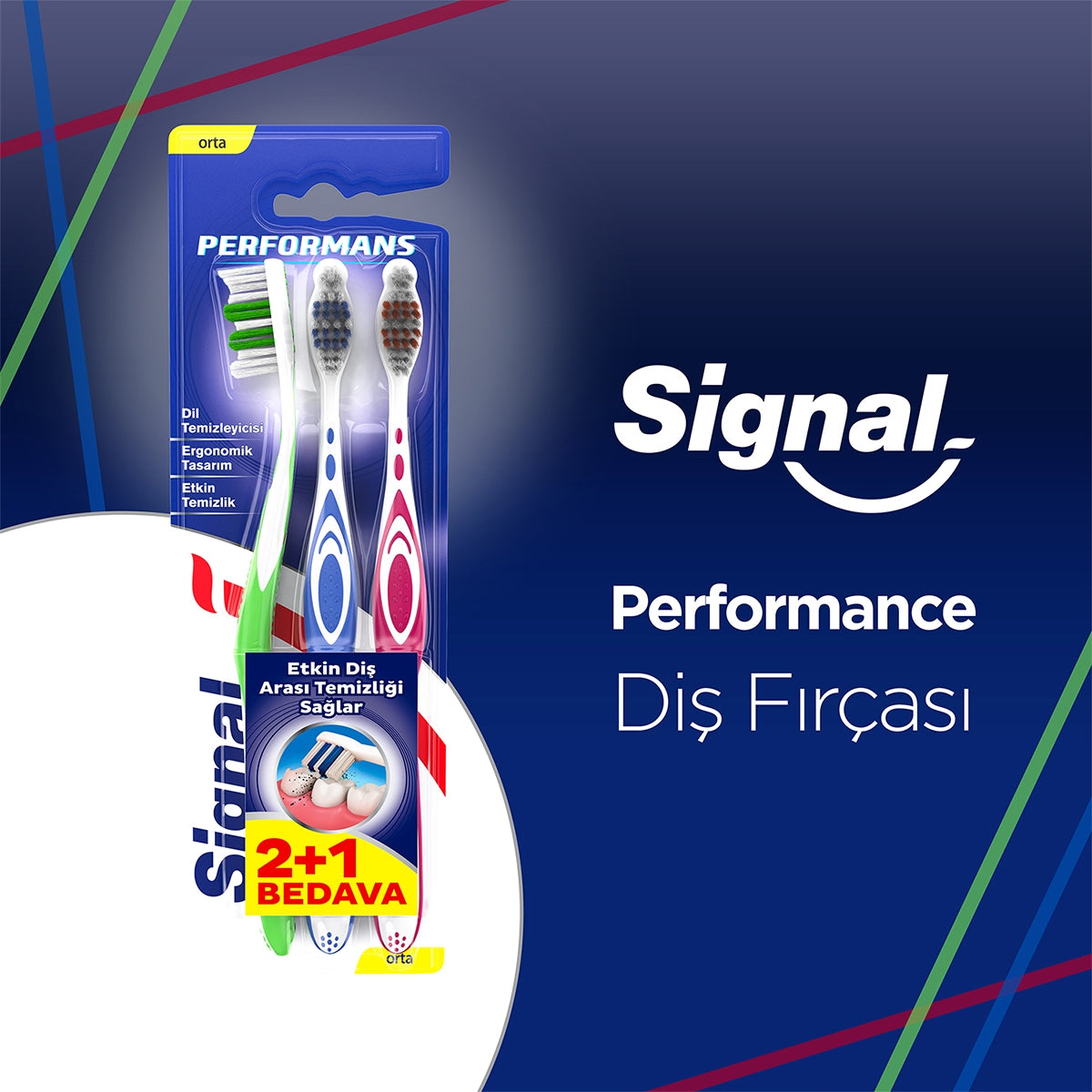 Diş Fırçası Performance 2+1