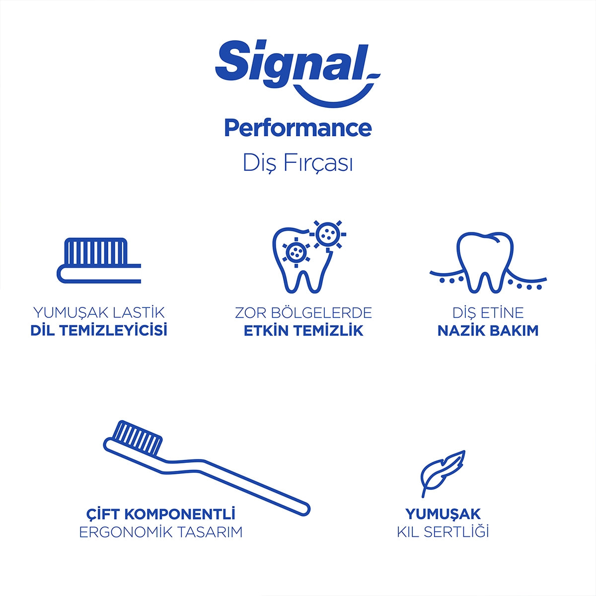 Diş Fırçası Performance 2+1