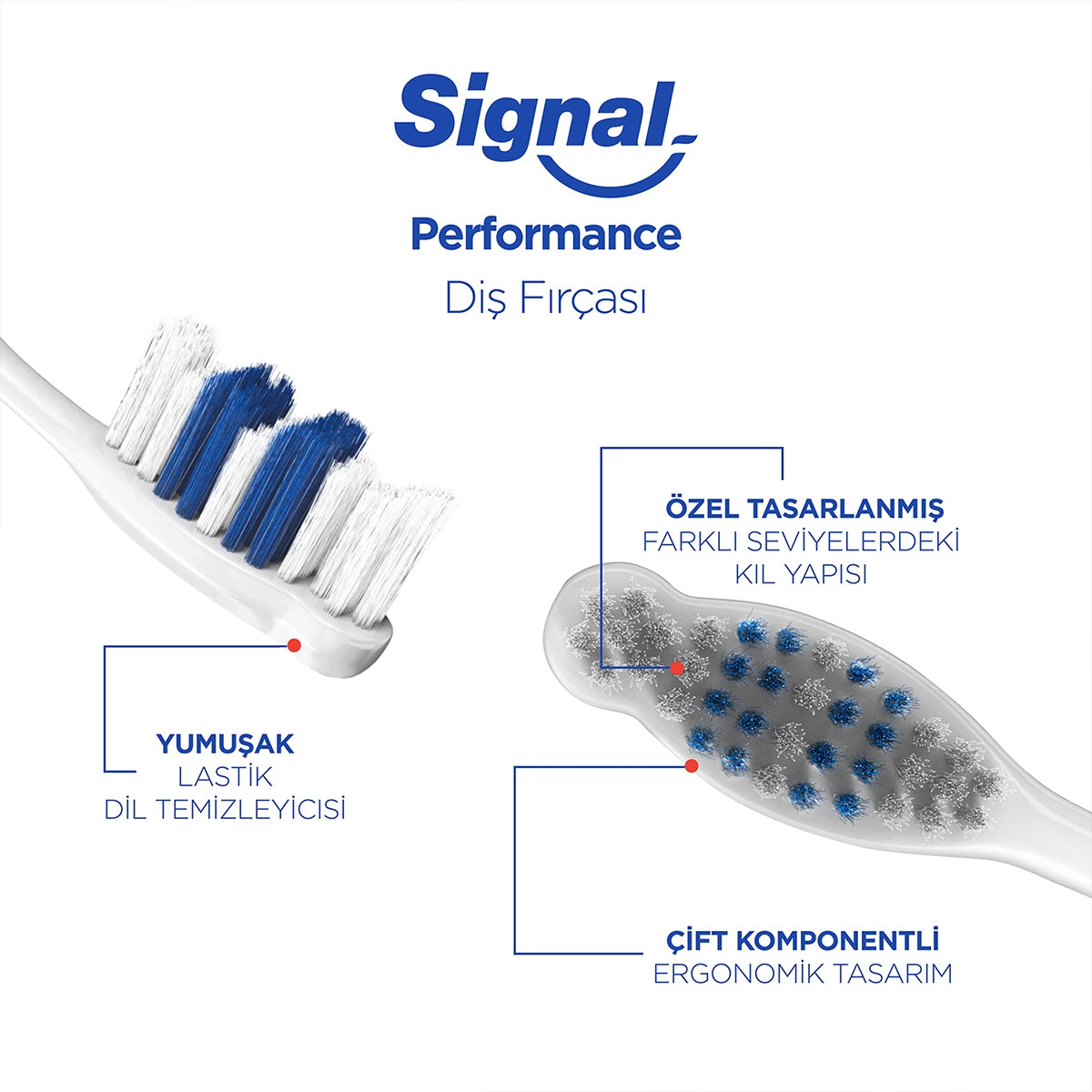 Diş Fırçası Performance 2+1