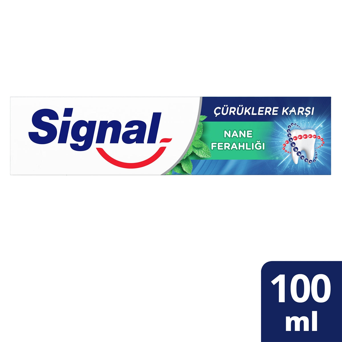 Diş Macunu Beyaz Güç Nane 100 ml