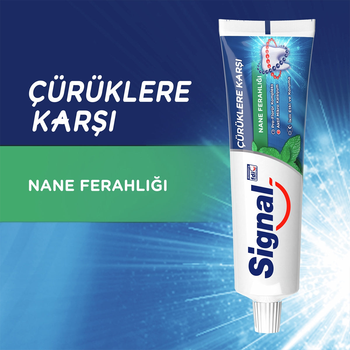 Diş Macunu Beyaz Güç Nane 100 ml