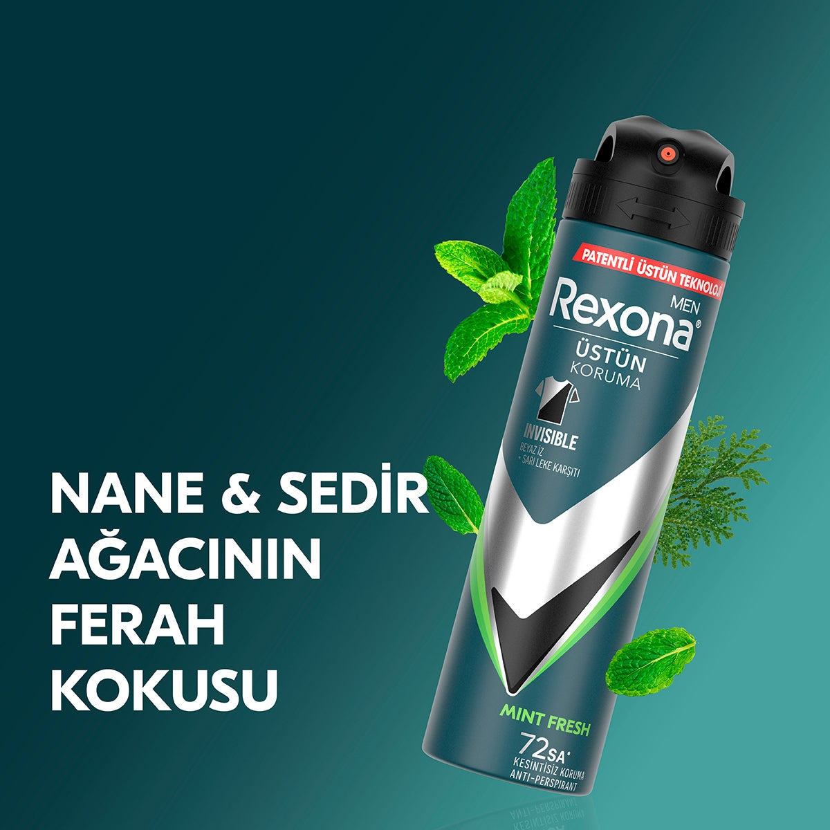 Erkek Sprey Nane Ve Sedir Ağacı 150 ml