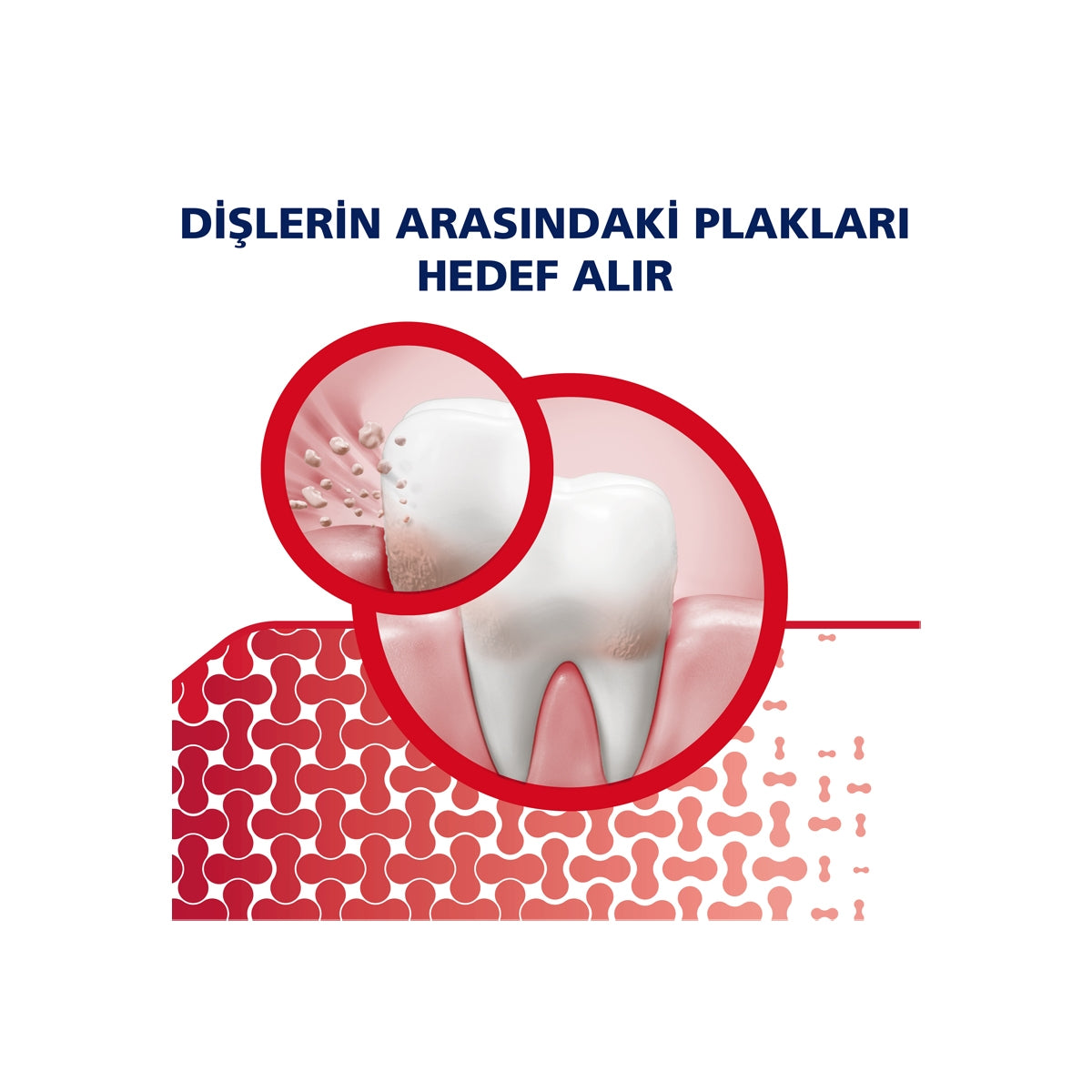 Diş Eti + Hassasiyet ve Ferahlık Diş Macunu 75 ml