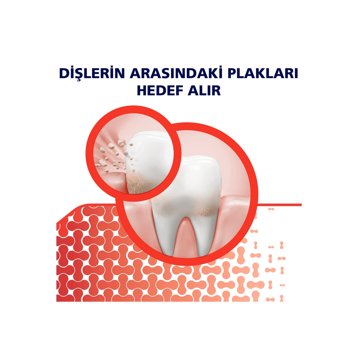 Diş Eti + Hassasiyet ve Ferahlık Beyazlatıcı Diş Macunu 75 ml