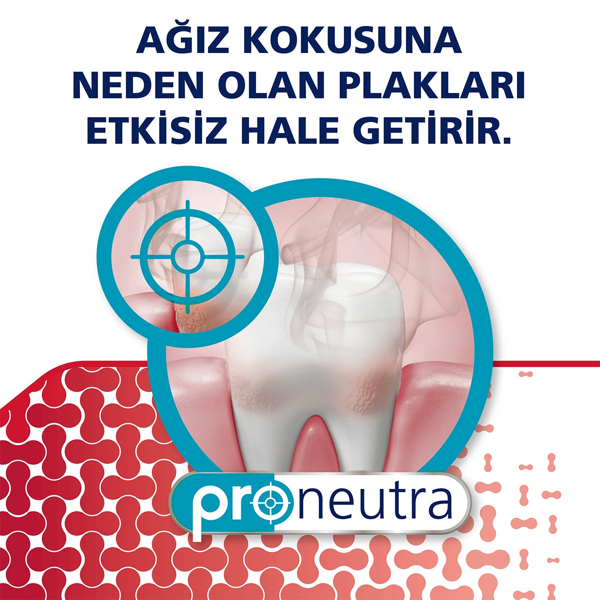 Diş Eti + Hassasiyet ve Ferahlık Beyazlatıcı Diş Macunu 75 ml